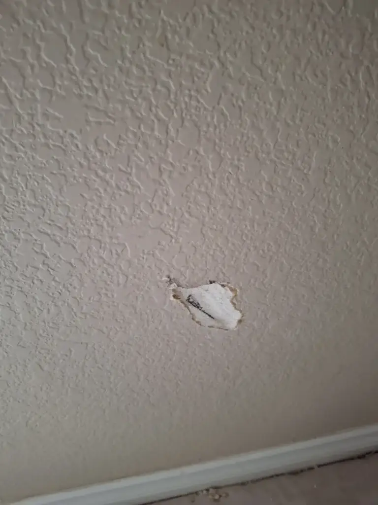 Wall hole with hanging flap